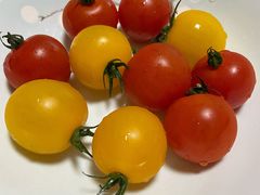 -西郊国际农产品交易中心