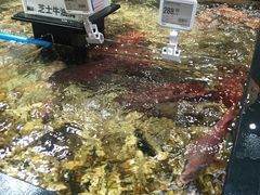 -盒马鲜生(皇庭广场店)