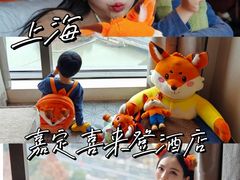 -上海嘉定喜来登酒店
