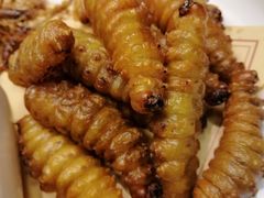 -老江南春·中国龙菜(衡山路店)