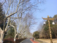 -宜兴龙背山森林公园