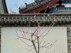 -河间府署