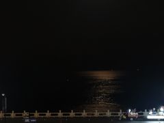 -野狸岛