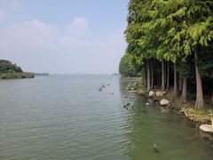 -长广溪湿地公园
