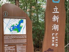 -立新湖公园