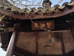 -香雪海