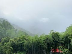 -莫干山风景区
