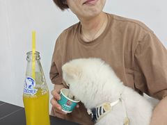 -老黑板筋(顺义总店)