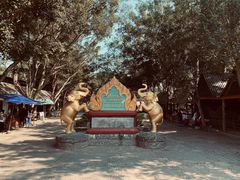 -西双版纳傣族园
