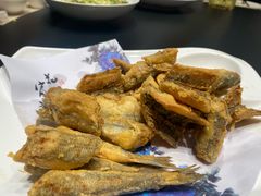 -大连湾旭日·家宴·海肠捞饭(马栏广场店)
