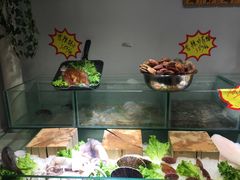 -酒肉行·虎子盐筋烤肉(大寨路店)