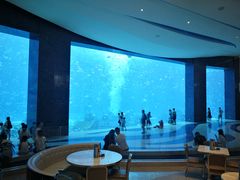 -亚特兰蒂斯•OSSIANO奥西亚诺海底餐厅