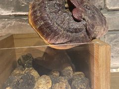 -老牌坊云南鱼豆花火锅(哈西万达店)