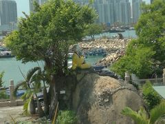 -海天花园酒家