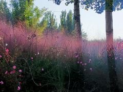 -汉长安城未央宫国家考古遗址公园