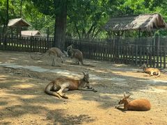 -大连森林动物园