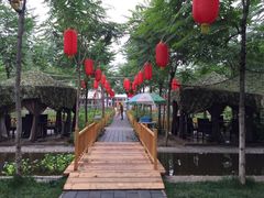 -草根堂农场