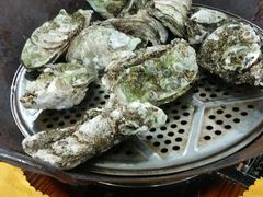 -蚝专家(北滘店)