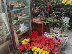 -宝鸡东道花鸟鱼虫市场(吉利花园商场店)
