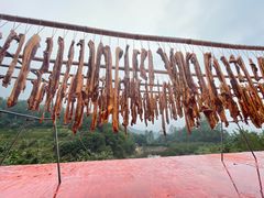 -天强农家菜馆