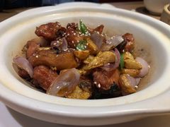 -南枝记