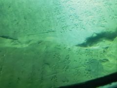 -白鹤梁水下博物馆