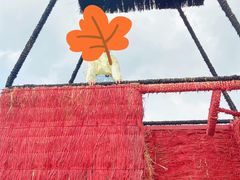 -嘉北郊野公园