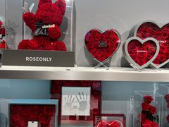 -ROSEONLY诺誓(广州K11店)
