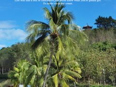 -三亚南山文化旅游区