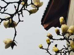 -中国中医科学院西苑医院(本部)