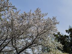 -练塘古镇
