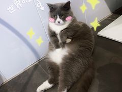 -乐果甜心·潮汕冰室(南澳后宅分店)