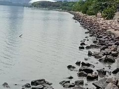 -深圳湾公园(南山区)