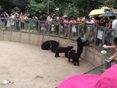 -西安秦岭野生动物园