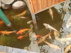 -上海大自然野生昆虫馆