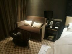 -常州环球恐龙城维景国际大酒店