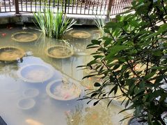 -聚缘堂·海鲜私房菜(松岭路店)