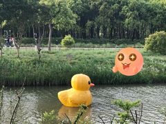 -嘉北郊野公园