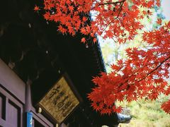 -慧因高丽寺