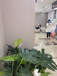 -杭州米兰柏羽医疗美容医院