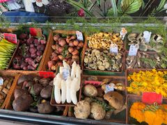 -原林野山菌火锅·炒菌(关上野生菌一条街店)