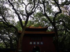 -普陀山风景名胜区-法雨禅寺