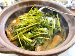 -九道菜有鸡鱼头(石鼓路店)