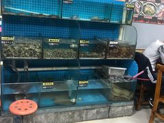 水产区-兆辉木炭海鲜烧烤·海鲜小炒