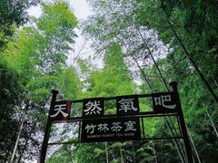 -宝岩生态观光园