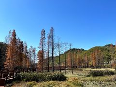 -广州市石门国家森林公园