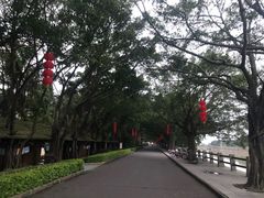 -大湾区中央湿地公园