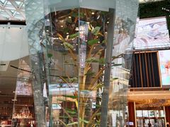 -视博茶点(美狮美高梅店)