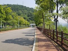 -羚羊峡古栈道森林公园