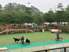 -盈香心动乐园